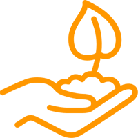 Tree planting icon